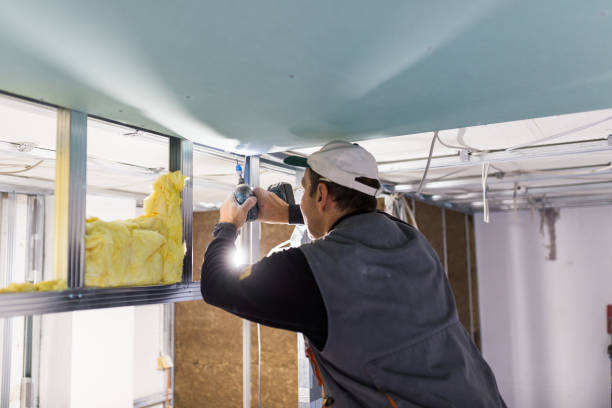 Best Blown-in Insulation in Friona, TX