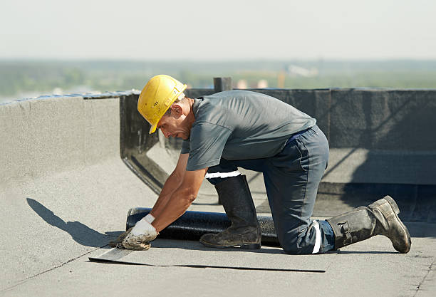 Best Residential Insulation in Friona, TX